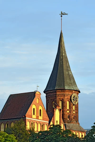 Turm Königsberger Münster an einem Sommerabend. Kaliningrad, rus — Stockfoto
