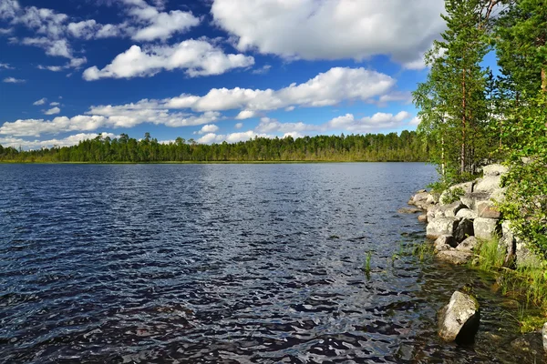 Karelski spacje. Pongoma jezioro, Północna Karelia, Federacja Rosyjska — Zdjęcie stockowe