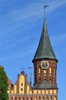 Kule koenigsberg Katedrali. sembol Kaliningrad, Rusya Federasyonu