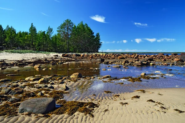 Vita havet vid lågvatten. Karelen, Ryssland — Stockfoto