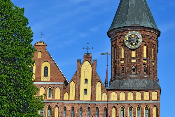 Kuleleri Koenigsberg Katedrali. Kaliningrad, Rusya'nın sembolü — Stok fotoğraf