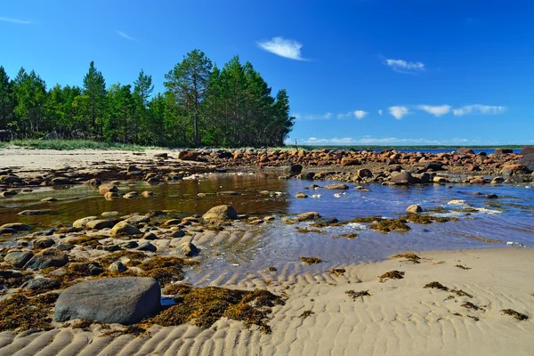 Costa do Mar Branco durante a maré baixa. Carélia, Rússia — Fotografia de Stock