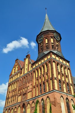 Koenigsberg Katedrali. Kaliningrad (eski adıyla Koenigsberg), Rusya Federasyonu