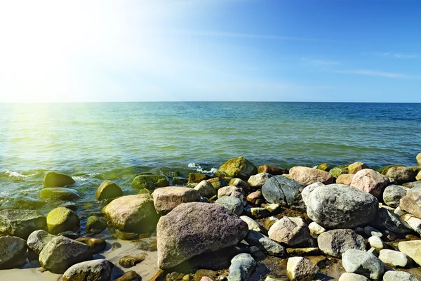 Baltic coast on a Sunny day — Stock Photo, Image