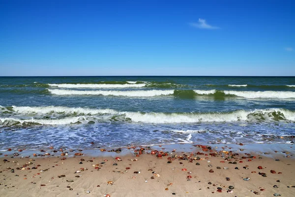 波罗的海海岸和海上冲浪 — 图库照片