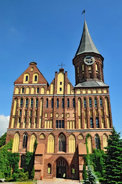 Catedral de Konigsberg. Kaliningrado (anteriormente Kenigsberg), Rusia — Foto de Stock