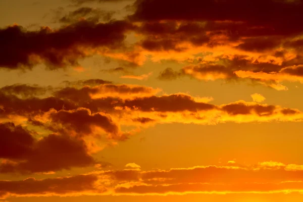 Sunset in golden tones — Stock Photo, Image