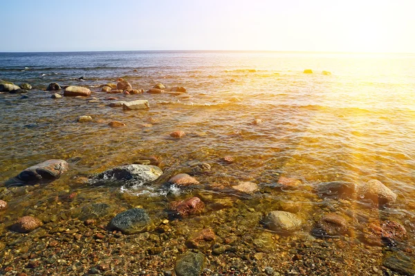 Baltische kust op een zonnige dag — Stockfoto