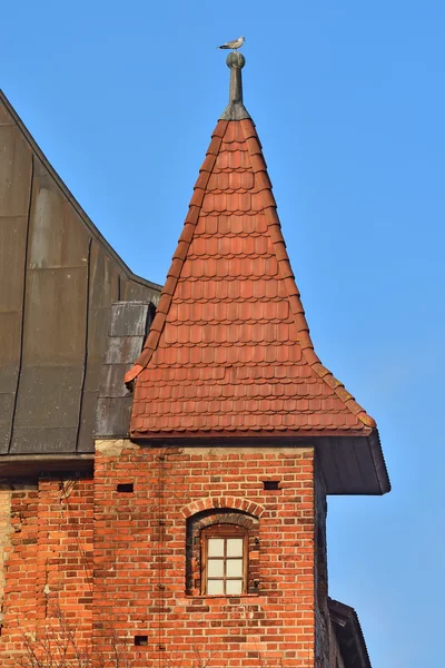 Torre Koenigsberg Catedral. Kaliningrado, Rusia — Foto de Stock