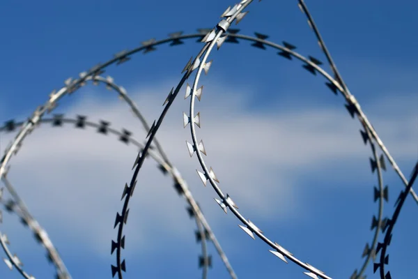 Barbed wire closeup Stock Photo