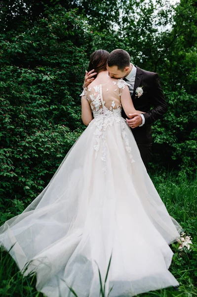 Retrato Una Atractiva Novia Trasera Que Abraza Besa —  Fotos de Stock