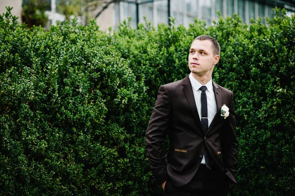 The attractive groom in a suit and tie wiht boutonniere or buttonhole on the jacket, is stands on the background greenery in the garden, park. Nature.