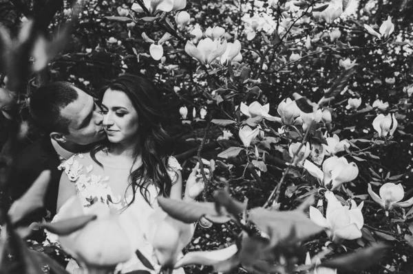 Wedding couple hugging and kissing in park on background flowers of magnolia. Wedding location on the ceremony. nature. outdoors. Black and white photo.