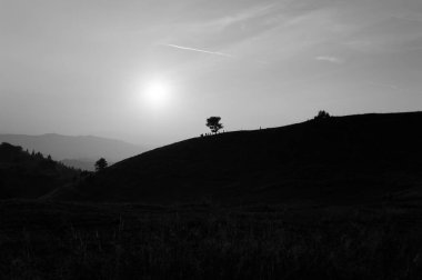 Dağlar ve günbatımı Karpatlar, Ukrayna. Bir dağın sisli çıkıntısı, geniş bir vadinin üzerinde güzel bir günbatımı. Ufukta bir ağaç görünüyor. Uçağın gökyüzü çizgisi. Siyah beyaz fotoğraf.