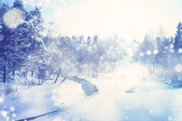 Winter background — Stock Photo, Image