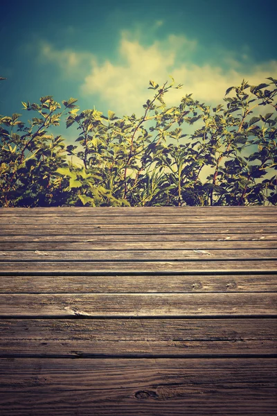 Fond de plancher en bois vide — Photo