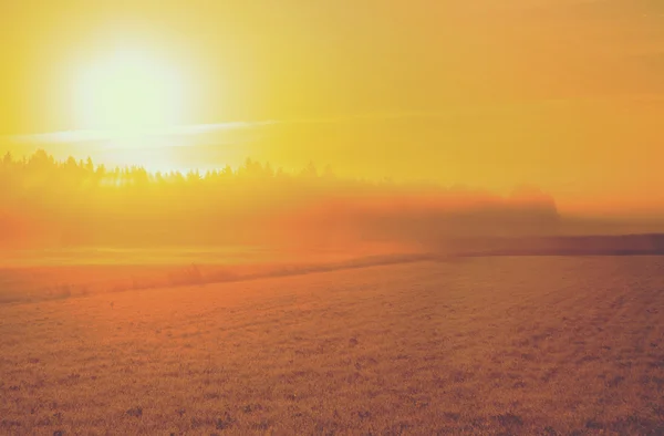 Schöne Natur Hintergrund — Stockfoto