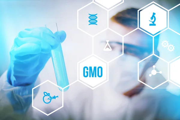 Genetically modified organism — Stock Photo, Image