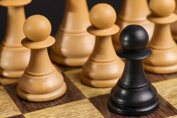 Algunas piezas de madera de ajedrez — Foto de Stock