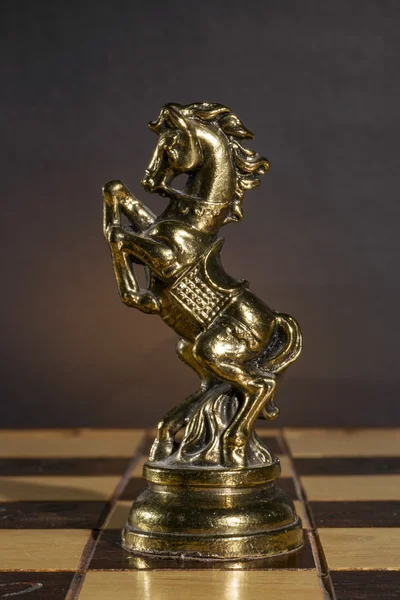 Metallic Chess Piece — Stock Photo, Image