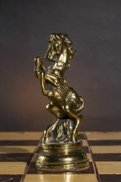 Metallic Chess Piece — Stock Photo, Image