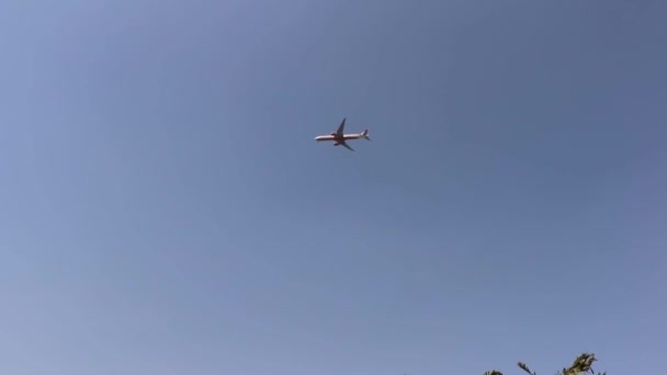 Repülőgép utazások/légi utazás — Stock videók