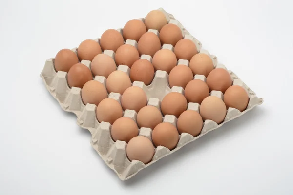 Ovos castanhos com um espaço vazio — Fotografia de Stock