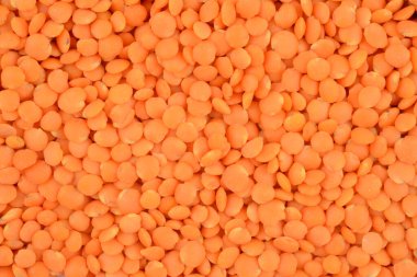 Çiğ turuncu mercimek, makro doku.