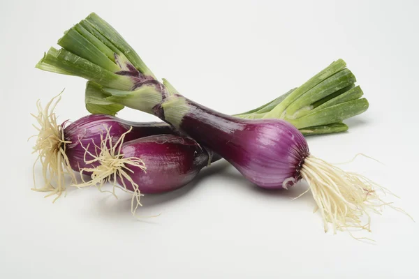 Red onions — Stock Photo, Image