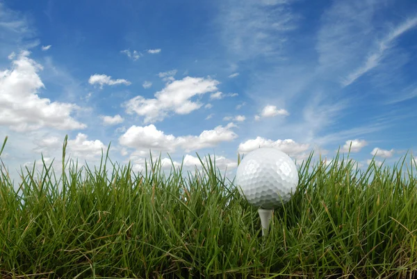 Golfbal op een tee — Stockfoto