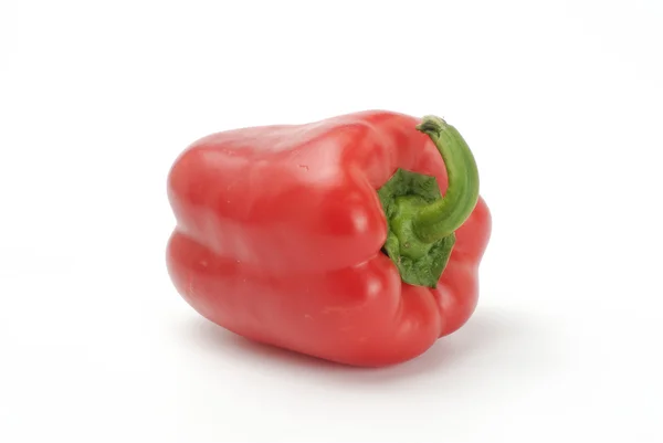 One red pepper — Stock Photo, Image