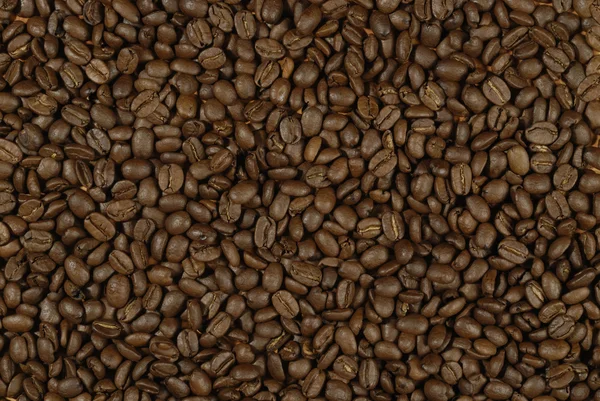 Quadro cheio de grãos de café — Fotografia de Stock
