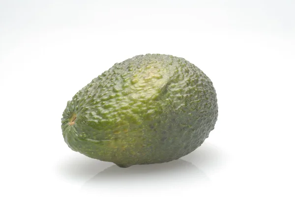 Один зелений авокадо — стокове фото