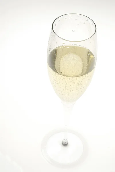 Glas Champagner — Stockfoto