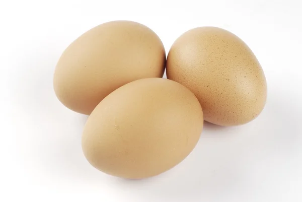 Três ovos castanhos sobre fundo branco — Fotografia de Stock