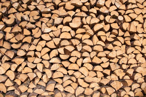 Wood texture — Stock Photo, Image