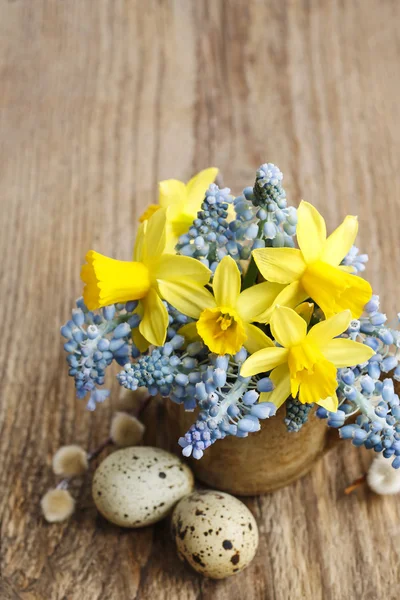 Bouquet von Narzissen und blauen Muscari (Traubenhyazinthe)) — Stockfoto