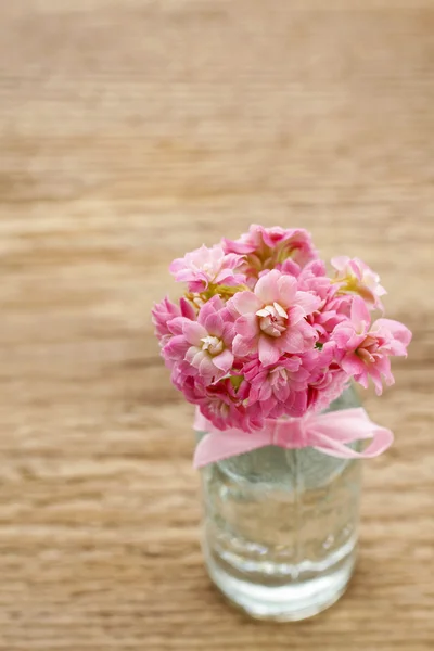ピンク色のカランコエ対花 o の美しい小さな花束 — ストック写真
