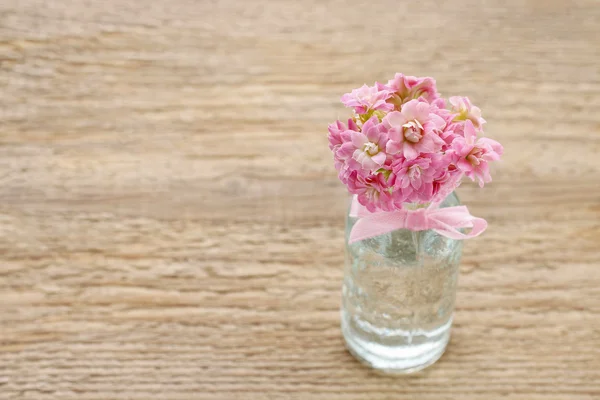 Szép kis csokor rózsaszín kalanchoe blossfeldiana virágok — Stock Fotó