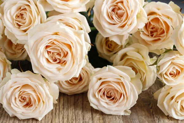 Roz trandafir fundal — Fotografie, imagine de stoc