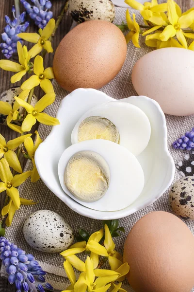 イースターの卵 — ストック写真