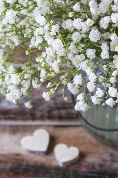 Baby's breath (gypsophilia csörgőfa) — Stock Fotó