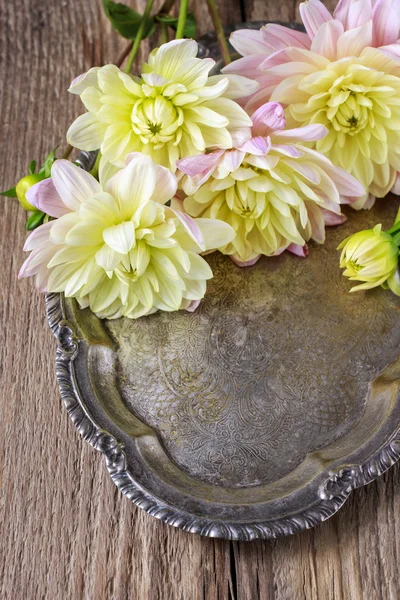 Dahlia flowers on silver tray — Stock Photo, Image