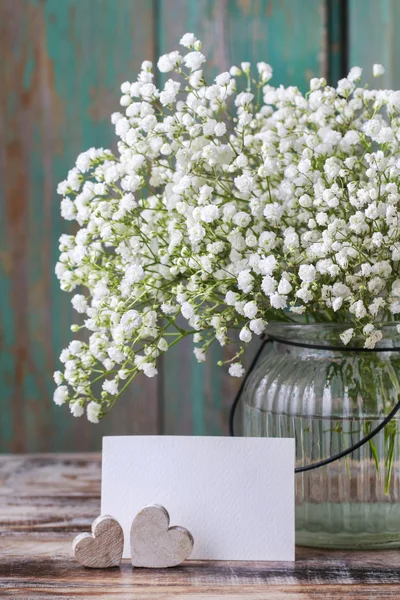 Baby's breath (gypsophilia csörgőfa) — Stock Fotó