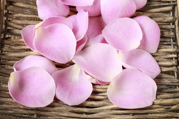 Petali di rosa in un cesto di vimini — Foto Stock