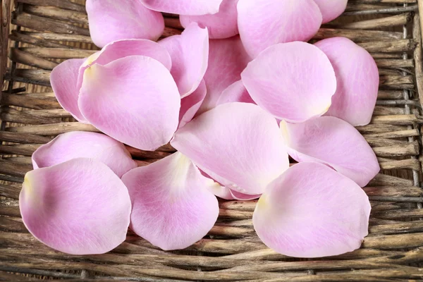 Roze roze bloemblaadjes in een rieten mand — Stockfoto