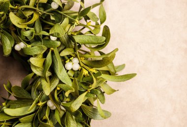 Ökseotu çelengi, kopyalama alanı