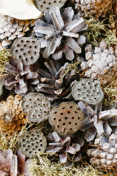 Weihnachten Hintergrund mit Zapfen und getrockneten Pflanzen — Stockfoto