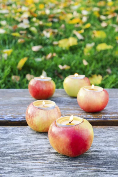 Apples in the garden — Stock Photo, Image