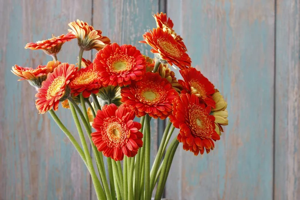 Ramo de margaritas gerberas naranjas — Foto de Stock